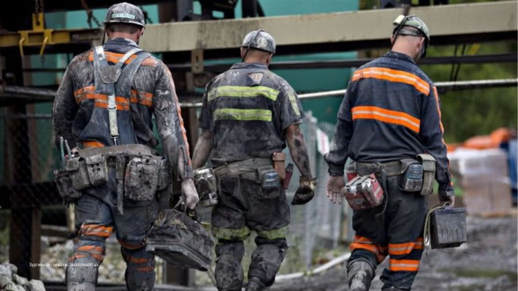 Мэргэжлээс шалтгаалах өвчин гэнэт үүсдэггүй: Яагаад 35–54 насанд “ил гарч” ирдэг вэ?