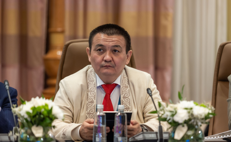 Критикал минерал дахь “жуниор” уул уурхайн санхүүжилт